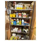 Variety of Chemicals & Garage Items