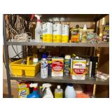 Variety of Chemicals & Garage Items