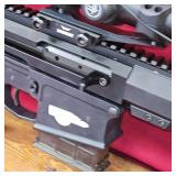 Bear Creek AR-10 Lower with Match Grade .308 Win upper Warne 1 piece mount and Vortex 6-24x50