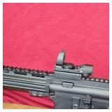 Palmetto State AR15 Lower w/ATI .410 Stainless Upper, Like New with 3 Magazines