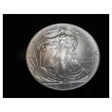 2010 American Eagle $1