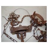 5 Double Spring Traps