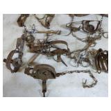 10 Victor Small Animal Food Traps