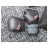 MIXED MARTIAL ARTS TRAINING EQUIPMENT