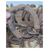 Large Lot of Vintage Iron Horseshoes