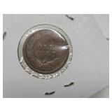 Group of 13 US Indian Heads Pennies #1