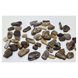 Large Collection of Genuine Petrified Wood Pieces