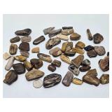 Large Collection of Genuine Petrified Wood Pieces