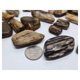 Large Collection of Genuine Petrified Wood Pieces