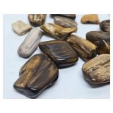 Large Collection of Genuine Petrified Wood Pieces