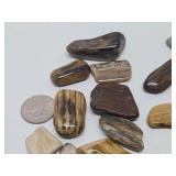 Large Collection of Genuine Petrified Wood Pieces