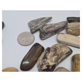 Large Collection of Genuine Petrified Wood Pieces
