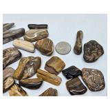 Large Collection of Genuine Petrified Wood Pieces