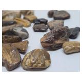 Large Collection of Genuine Petrified Wood Pieces