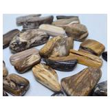 Large Collection of Genuine Petrified Wood Pieces
