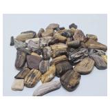 Large Collection of Genuine Petrified Wood Pieces
