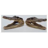 Pair of Genuine Juvenile Alligator or Crocodile Heads