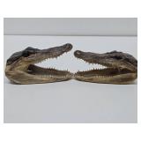 Pair of Genuine Juvenile Alligator or Crocodile Heads