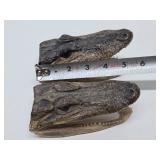 Pair of Genuine Juvenile Alligator or Crocodile Heads