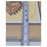 Very Nice Original Batik Butterfly Painting by MN Artist Carolyn Ter Eick