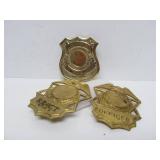 Collection of Vintage Heavy Metal Assorted Obsolete Security & other Badges