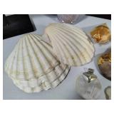 Coral/Beachy Themed Jewelry & Misc Shells
