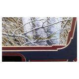 Masters of Illusion framed and matted Buck Print 18"x16"