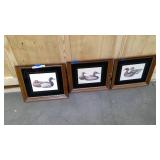 Set of 3 framed and matted duck paintings 16"x 14"