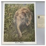 Unframed Gail Adams "Youth In Motion" Print With COA