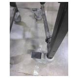 BEST FLEX, EXPANDING, ROLLING CONVEYOR UNIT