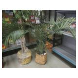 (RM4) Faux Trees and Plants...