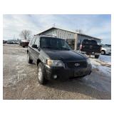 2007 Ford Escape 4WD