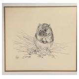 LL - Framed Vintage Pencil Drawing of American Pika by Liz McMahon