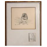 LL - Framed Vintage Pencil Drawing of American Pika by Liz McMahon