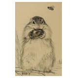 LL - Framed Chipmunk and Acorn Pencil Drawings