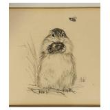 LL - Framed Chipmunk and Acorn Pencil Drawings