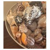 BR2 - Handcrafted Pottery Bowl with Shell Collection