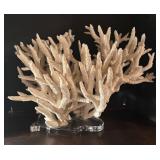 MB - Large White Coral Decor on Lucite Base