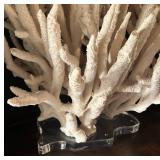 MB - Large White Coral Decor on Lucite Base