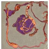 LR - Fred Blumenthal 1985 Abstract Original Unframed Painting