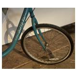 G - Nordic Track Good Life Bike in Teal