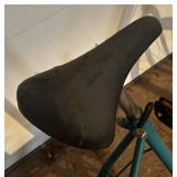 G - Nordic Track Good Life Bike in Teal