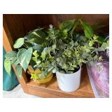 Collection of Faux Plants and Assorted Costume Hats