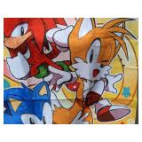 Sonic Mania 39" x 60" Area Rug - Brand New