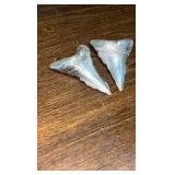 Pure Silver Shark Teeth 999 fine!