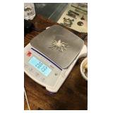 Sterling Silver Cast Spider!