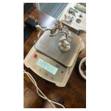 Pure Silver Anthill Mold