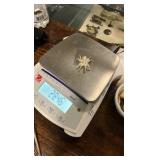 Pure Silver 999 Cast Spider 28g!