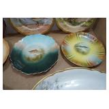 Wildlife Themed Decorative Plates