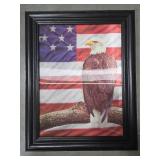 3D American Eagle Picture